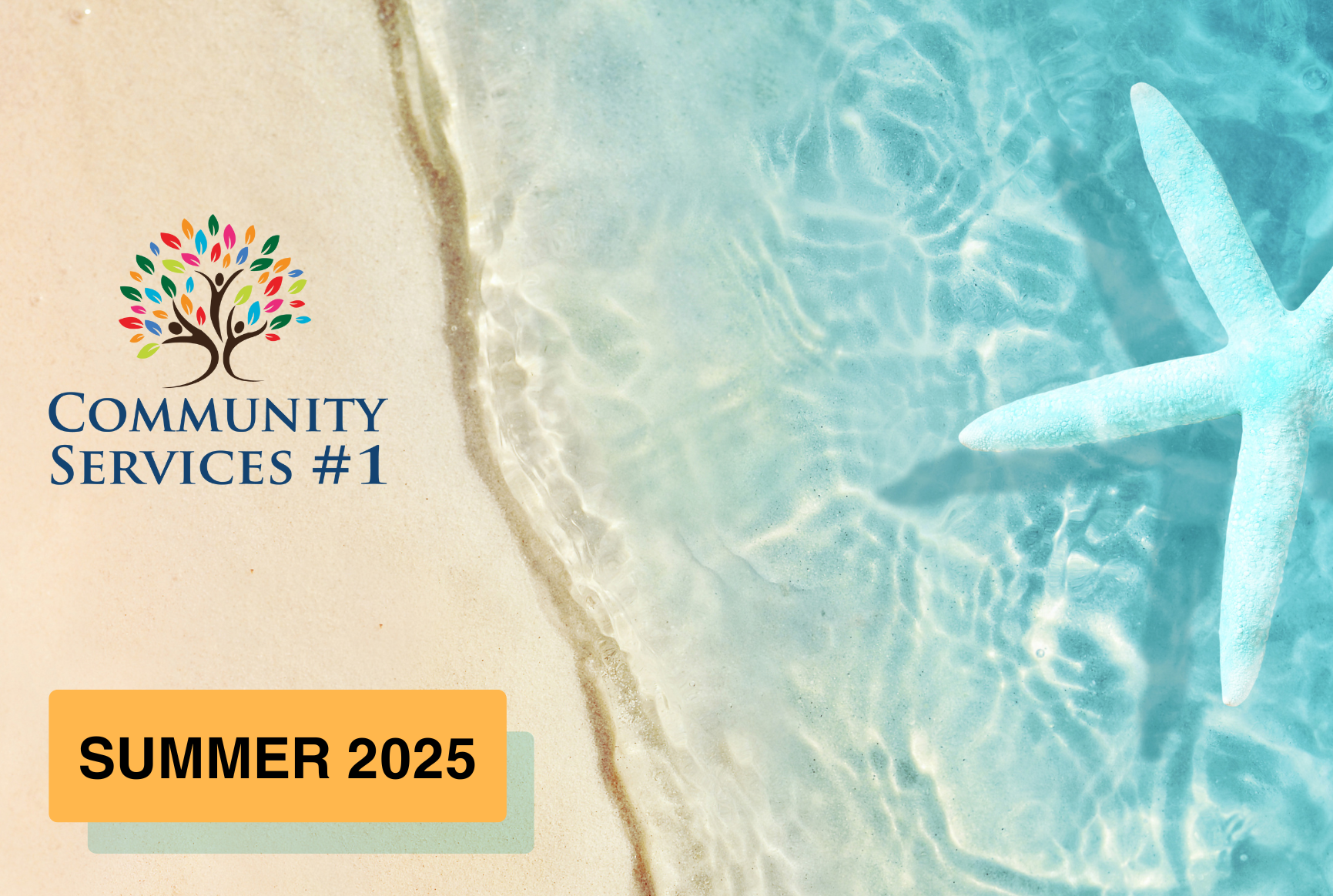 summer-2025-newsletter
